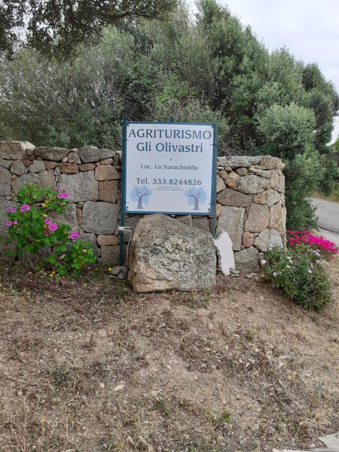 Gli Olivastri Con Piscina,Solarium, Vista Mare ,Sole -Mare E Tanta Natura ,Climatizzatore,Wifi Aglientu Kültér fotó