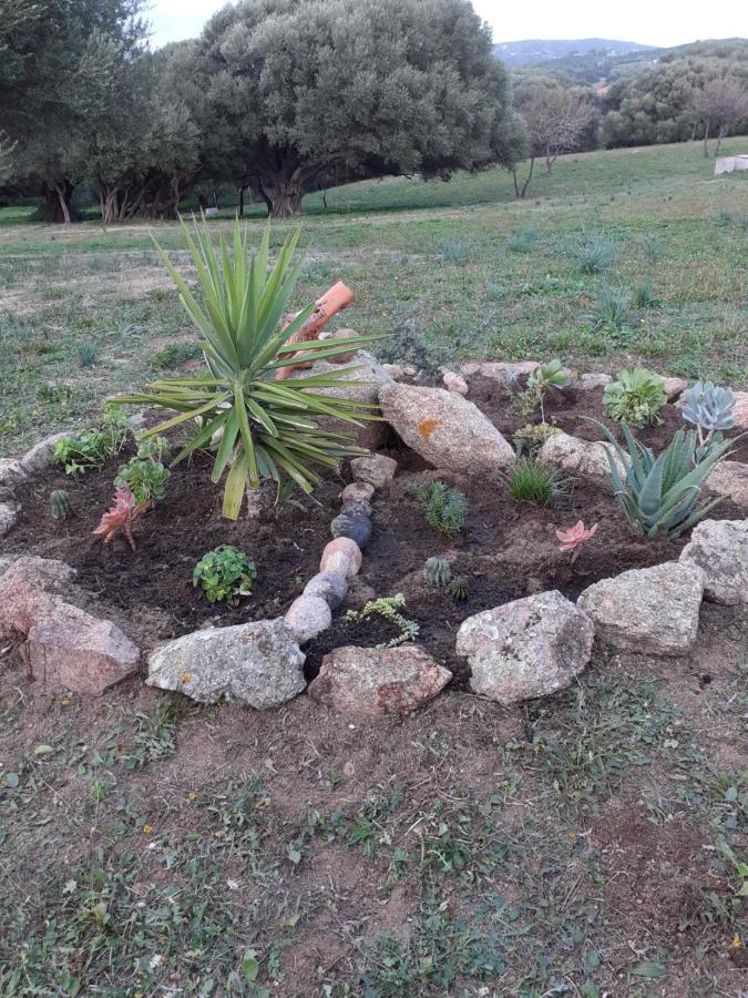 Gli Olivastri Con Piscina,Solarium, Vista Mare ,Sole -Mare E Tanta Natura ,Climatizzatore,Wifi Aglientu Kültér fotó