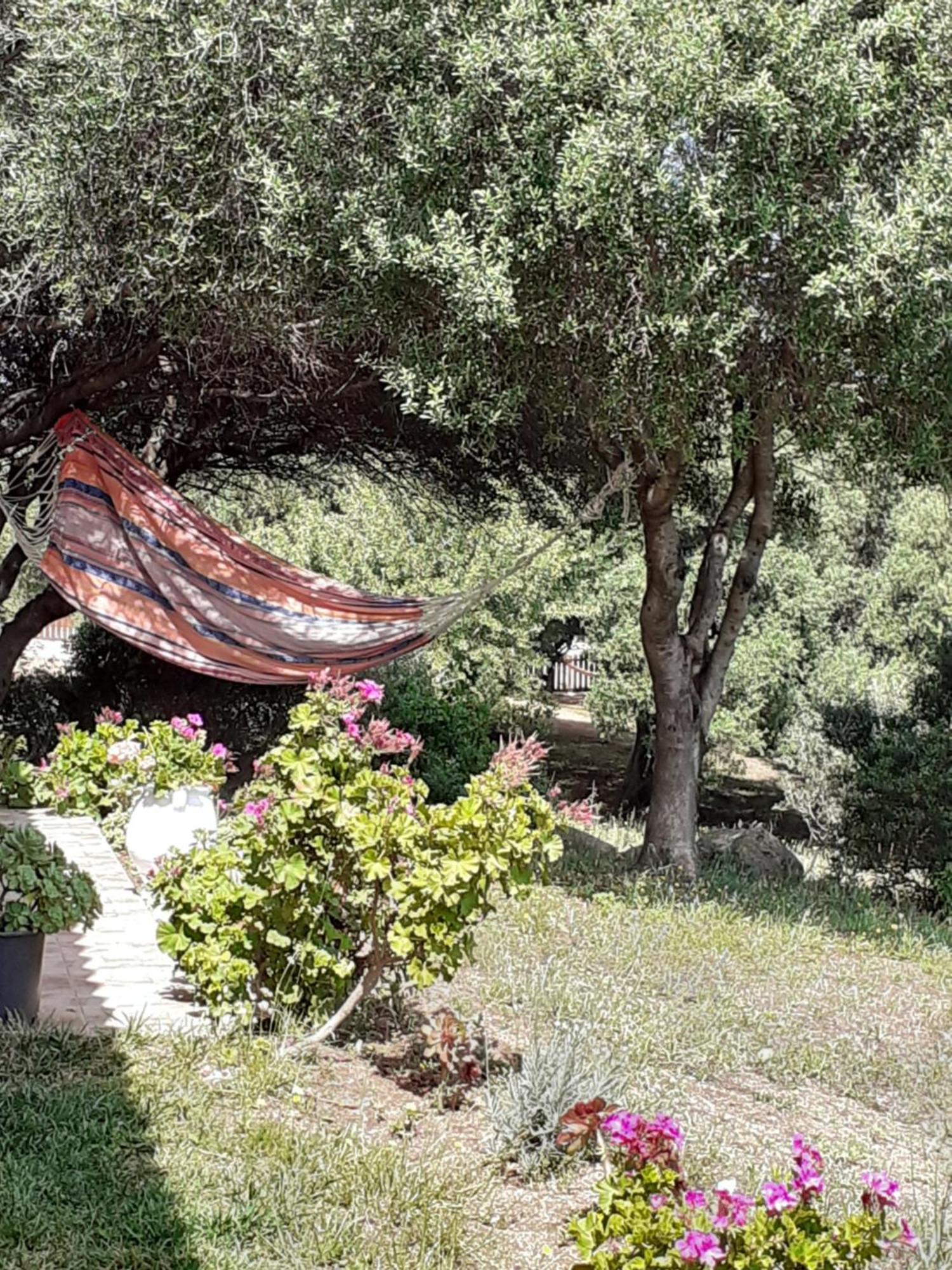Gli Olivastri Con Piscina,Solarium, Vista Mare ,Sole -Mare E Tanta Natura ,Climatizzatore,Wifi Aglientu Kültér fotó