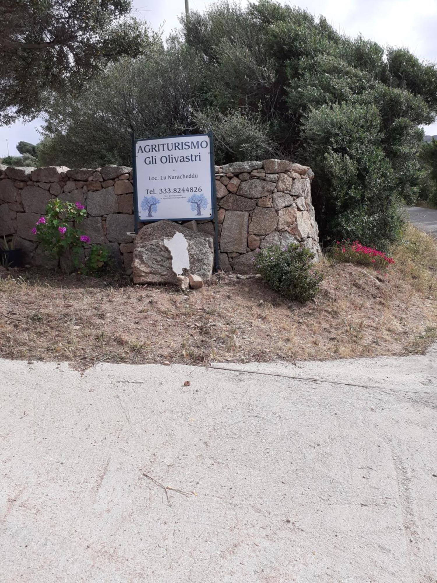 Gli Olivastri Con Piscina,Solarium, Vista Mare ,Sole -Mare E Tanta Natura ,Climatizzatore,Wifi Aglientu Kültér fotó
