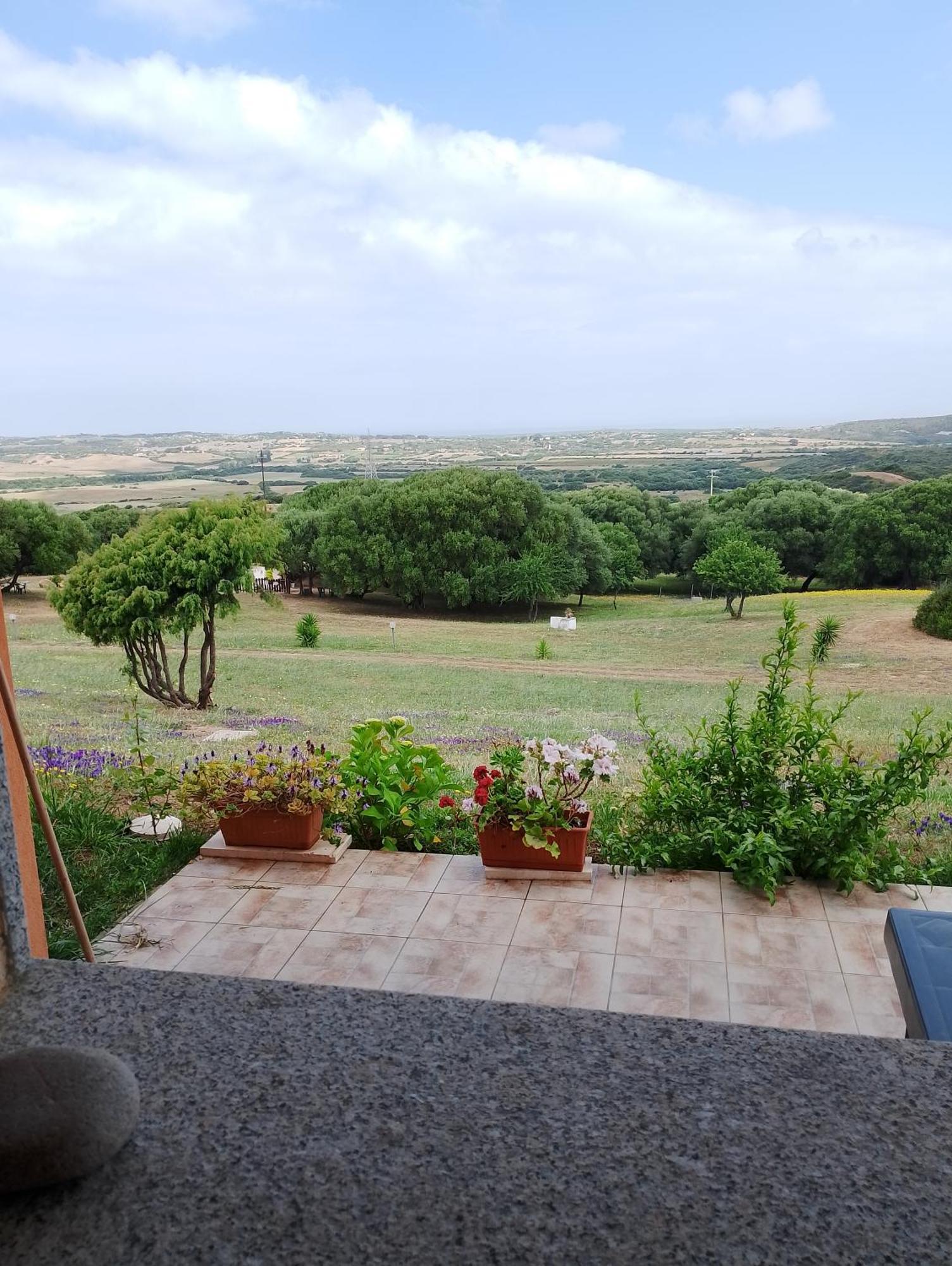 Gli Olivastri Con Piscina,Solarium, Vista Mare ,Sole -Mare E Tanta Natura ,Climatizzatore,Wifi Aglientu Kültér fotó