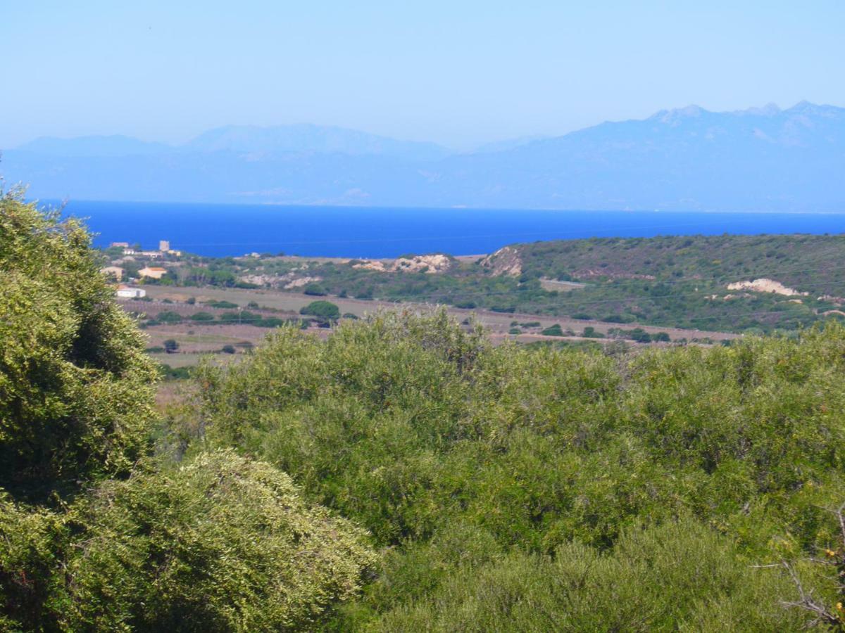 Gli Olivastri Con Piscina,Solarium, Vista Mare ,Sole -Mare E Tanta Natura ,Climatizzatore,Wifi Aglientu Kültér fotó