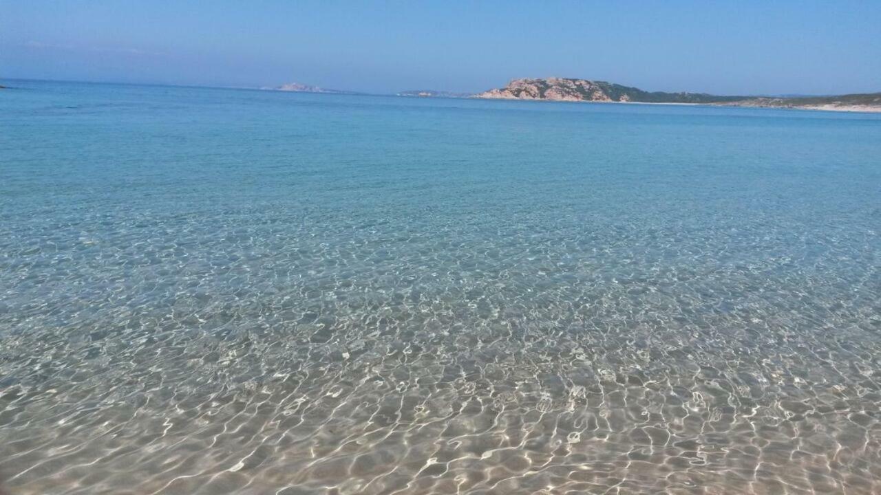 Gli Olivastri Con Piscina,Solarium, Vista Mare ,Sole -Mare E Tanta Natura ,Climatizzatore,Wifi Aglientu Kültér fotó