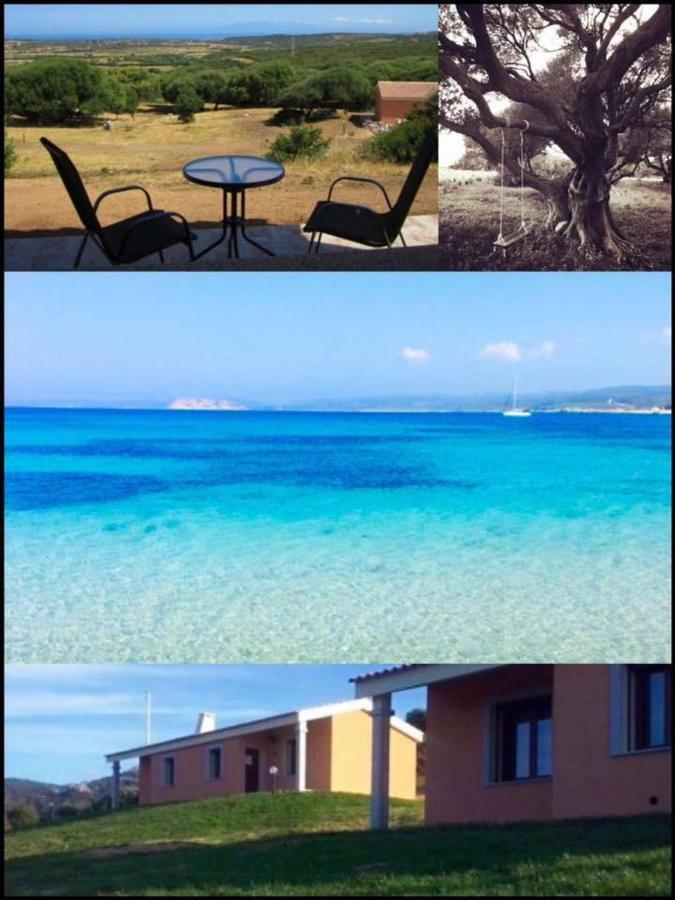 Gli Olivastri Con Piscina,Solarium, Vista Mare ,Sole -Mare E Tanta Natura ,Climatizzatore,Wifi Aglientu Kültér fotó