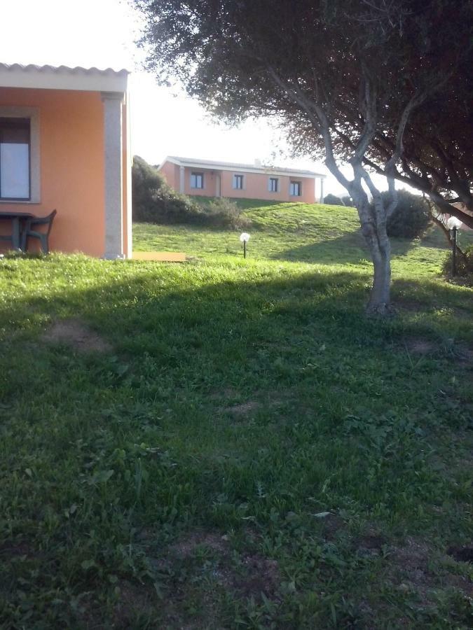 Gli Olivastri Con Piscina,Solarium, Vista Mare ,Sole -Mare E Tanta Natura ,Climatizzatore,Wifi Aglientu Kültér fotó