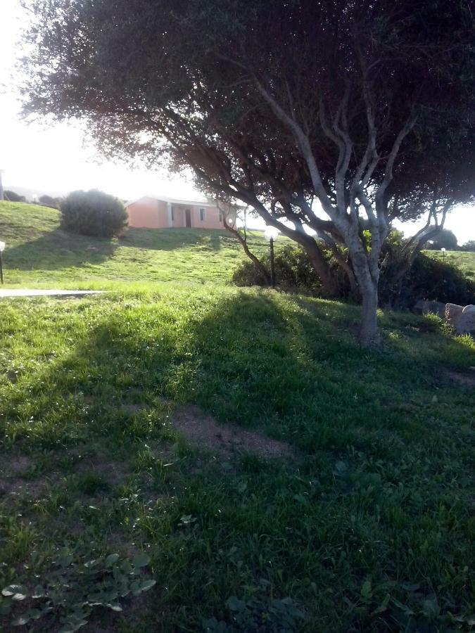 Gli Olivastri Con Piscina,Solarium, Vista Mare ,Sole -Mare E Tanta Natura ,Climatizzatore,Wifi Aglientu Kültér fotó